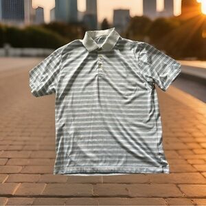 Nike Men's Size Large Dri-FIT Player Control Striped Golf Polo. Multicolor